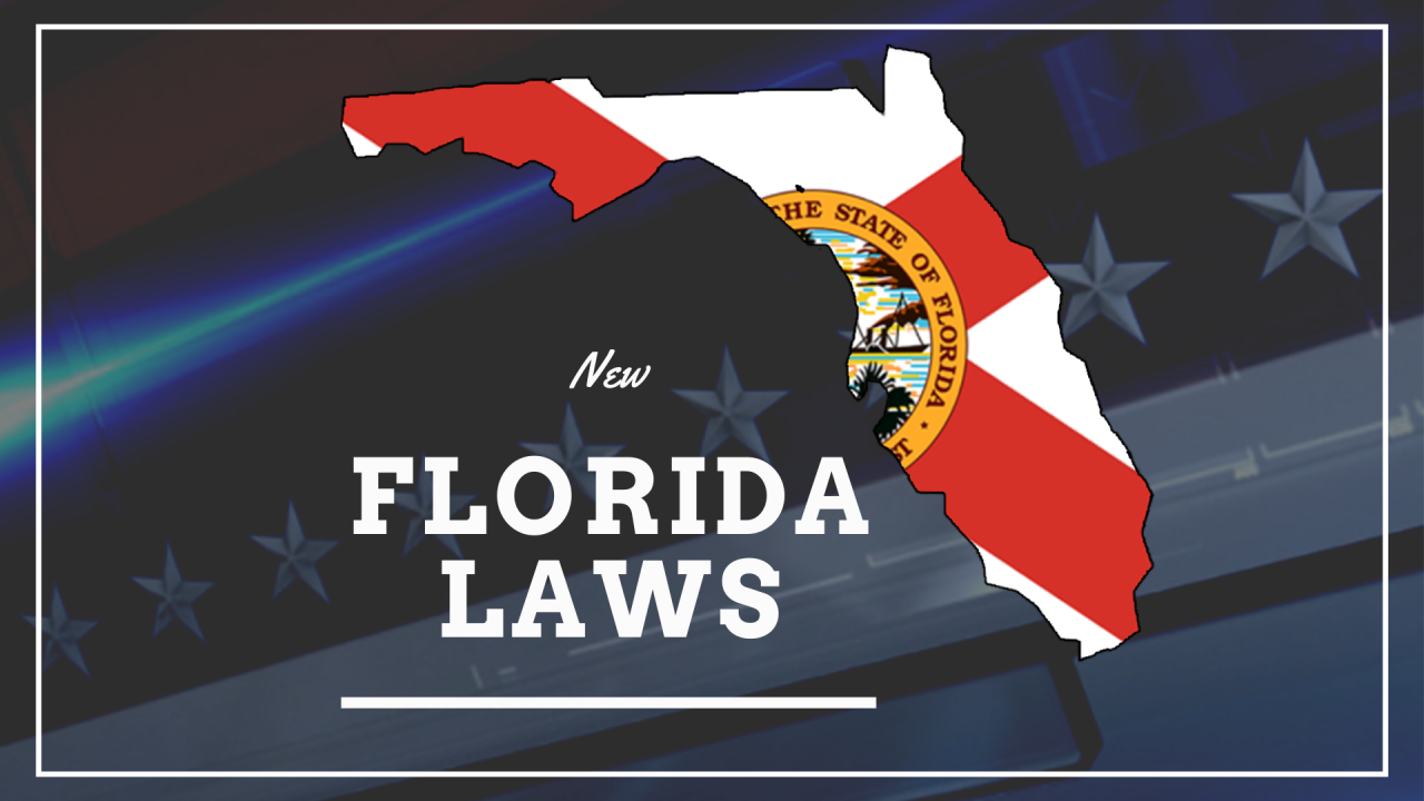 Handful of new Florida laws set to begin in 2025