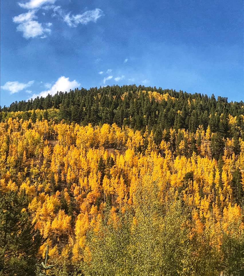 Leadville area_photo by Tami Loyche