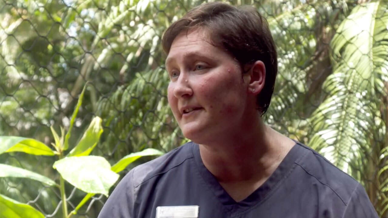 Dr. Kathy Woodie, director of animal care at the Palm Beach Zoo