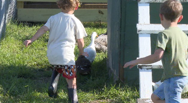 Farmschool at Lolly & Pop's in Raymore, Missouri