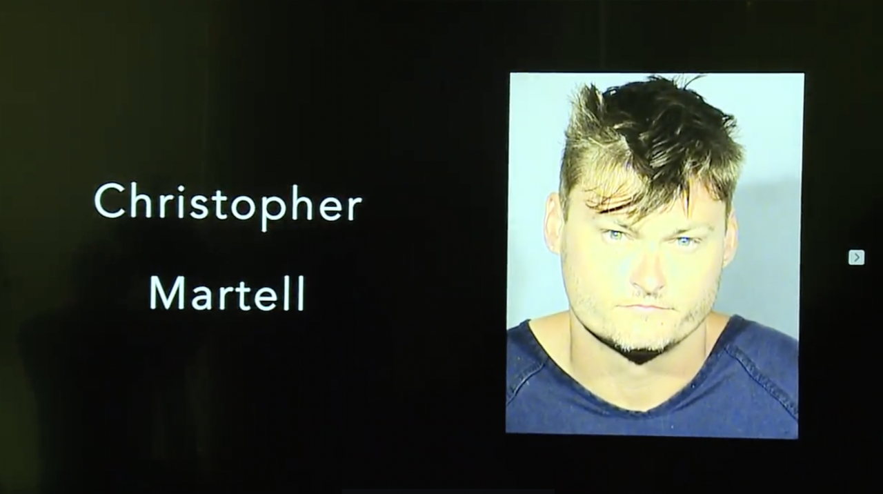 Police apprehend suspect in stabbing spree