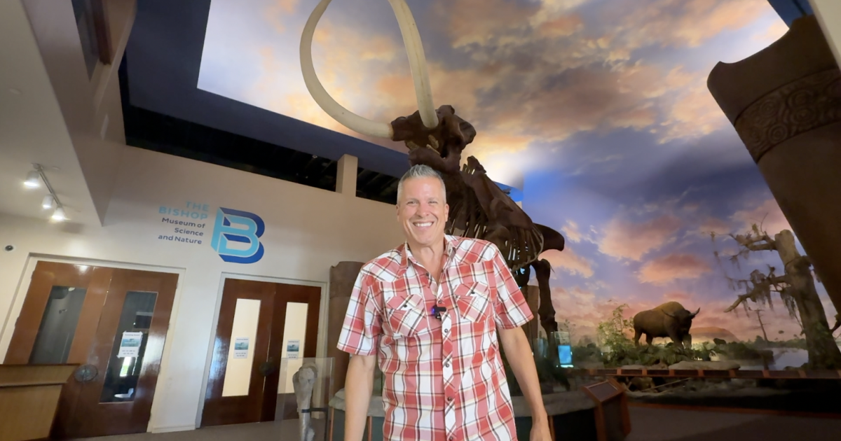 Mastodons and manatees at Bradenton's Bishop Museum of Science and Nature