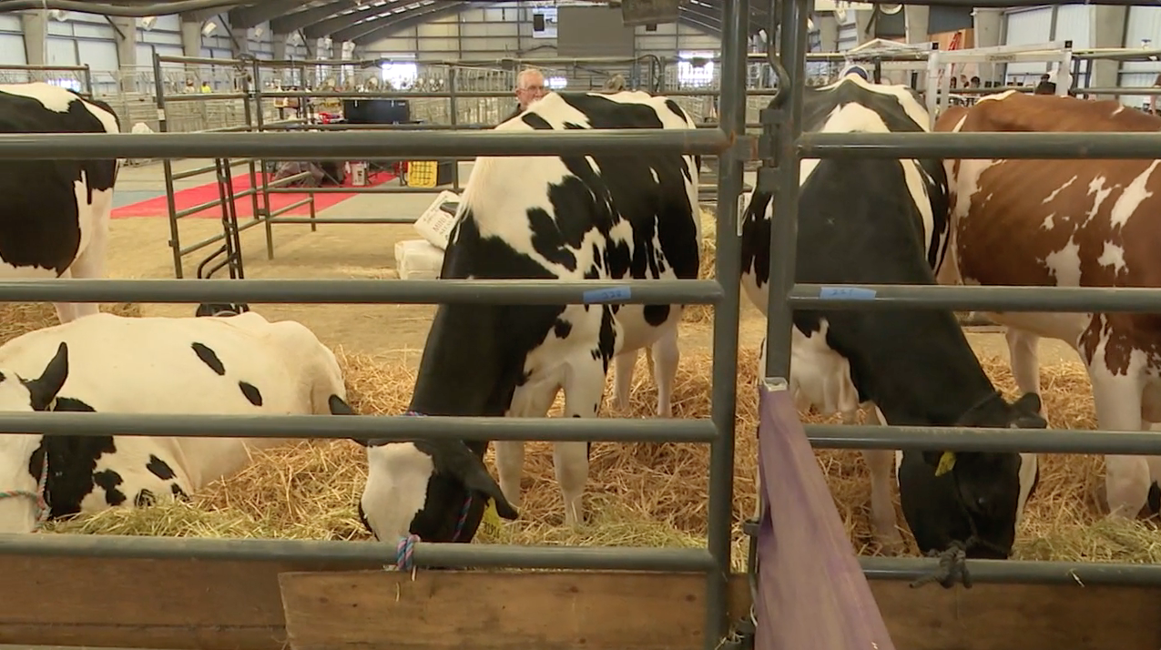 2023 California Youth Ag Expo