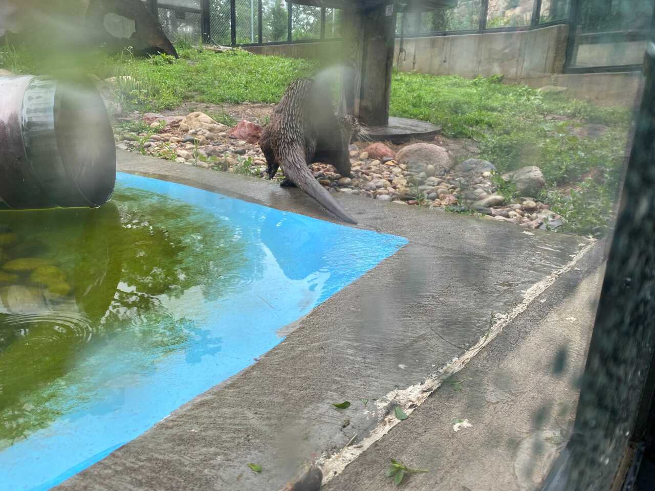 Image from iOS (11).jpg