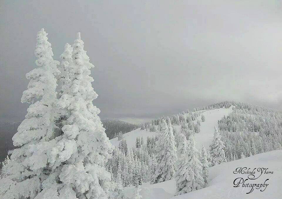 wolf creek ski area snow