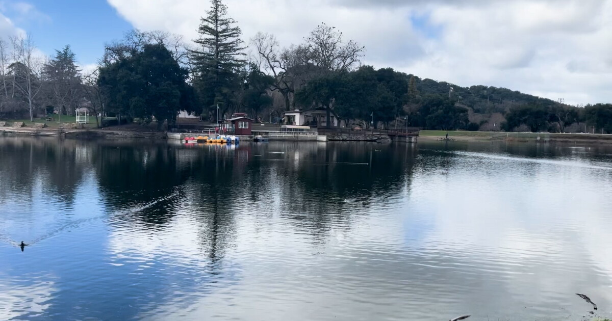 Atascadero Lake receives more fish and rain - Vimarsana News