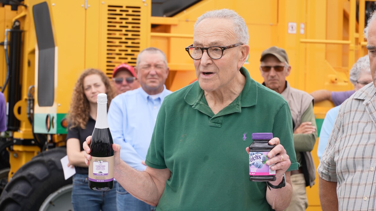 SCHUMER GRAPE INDUSTRY.jpg