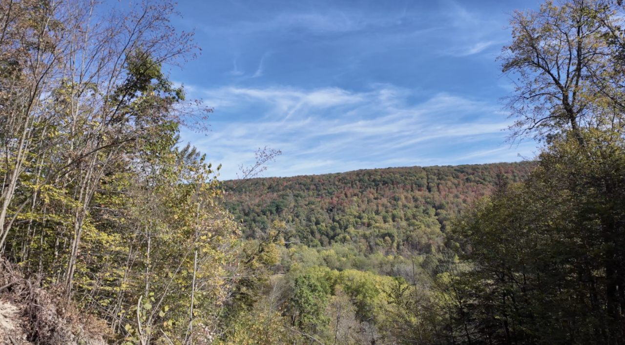 Screenshot 2025-10-02 at 3.57.38 PM.png