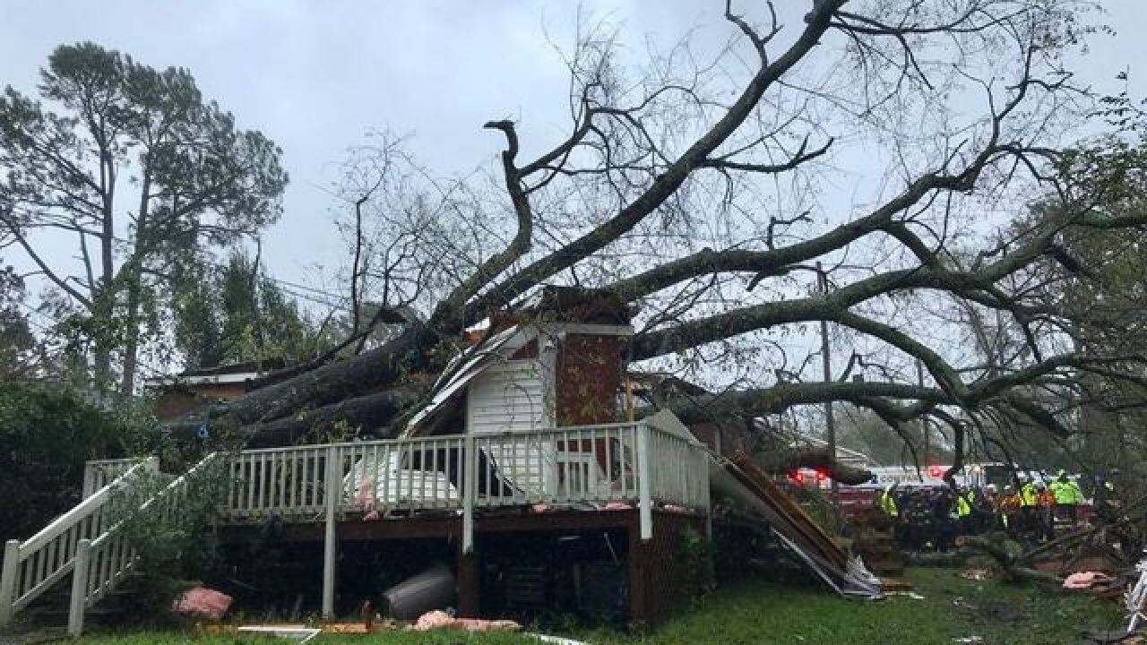 Truck driver uses school bus to save 64 dogs and cats from Hurricane Florence