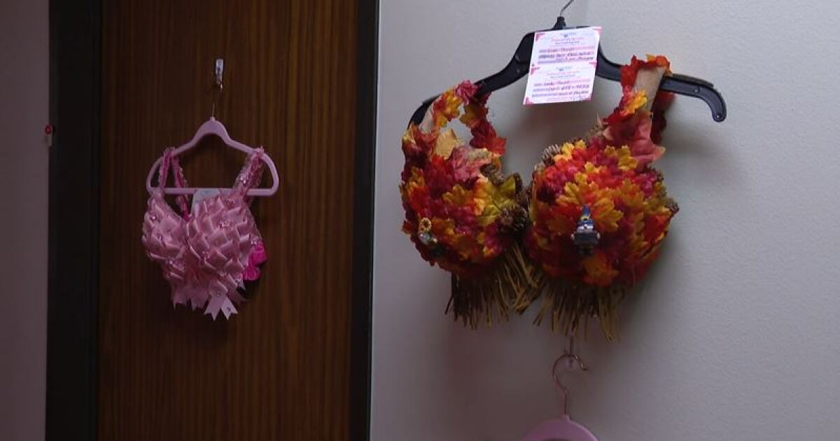 Bras become art for a very important cause - Vimarsana News