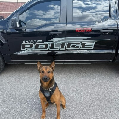 k9 dagger.jpg