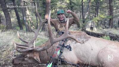 Suspect pleads guilty to transporting poached animal in Montana