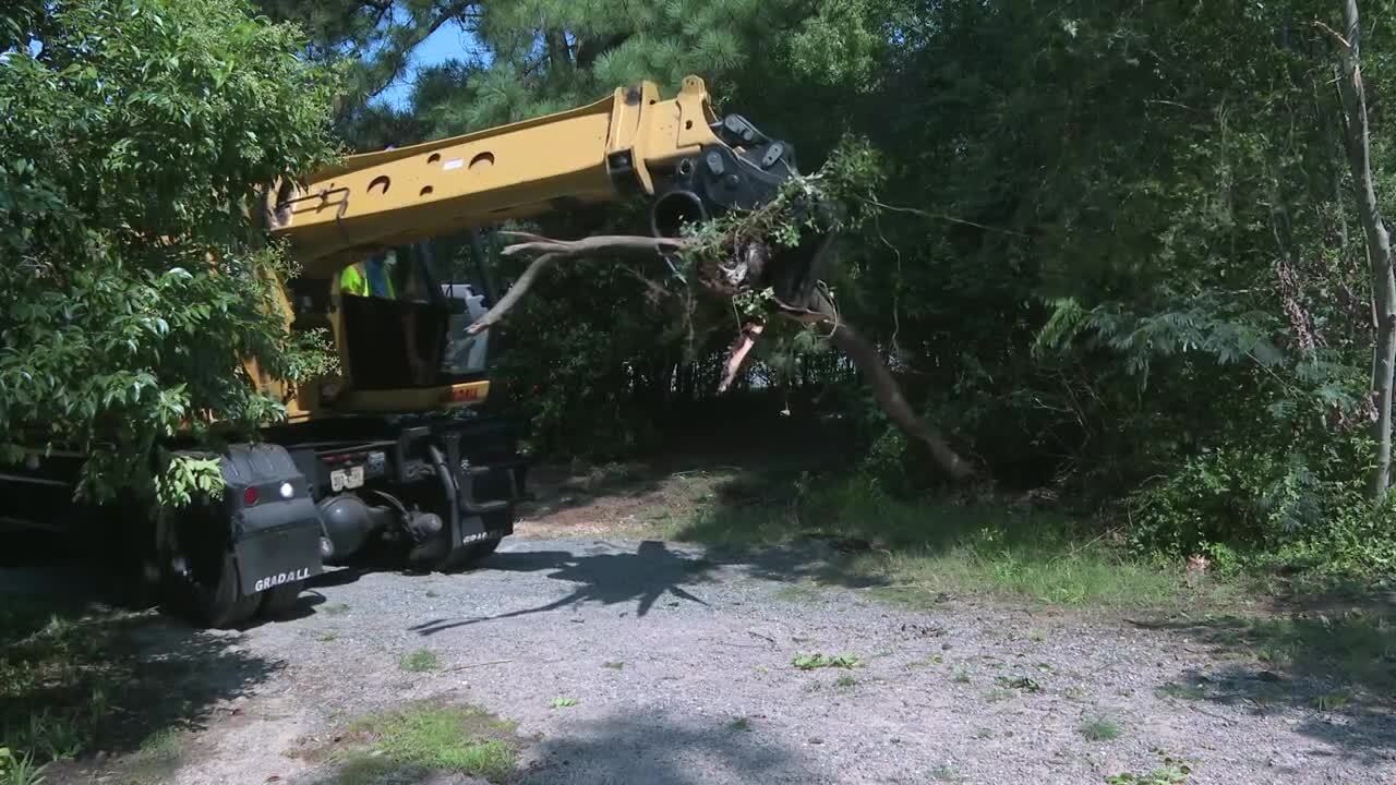 Henrico Storm Cleanup
