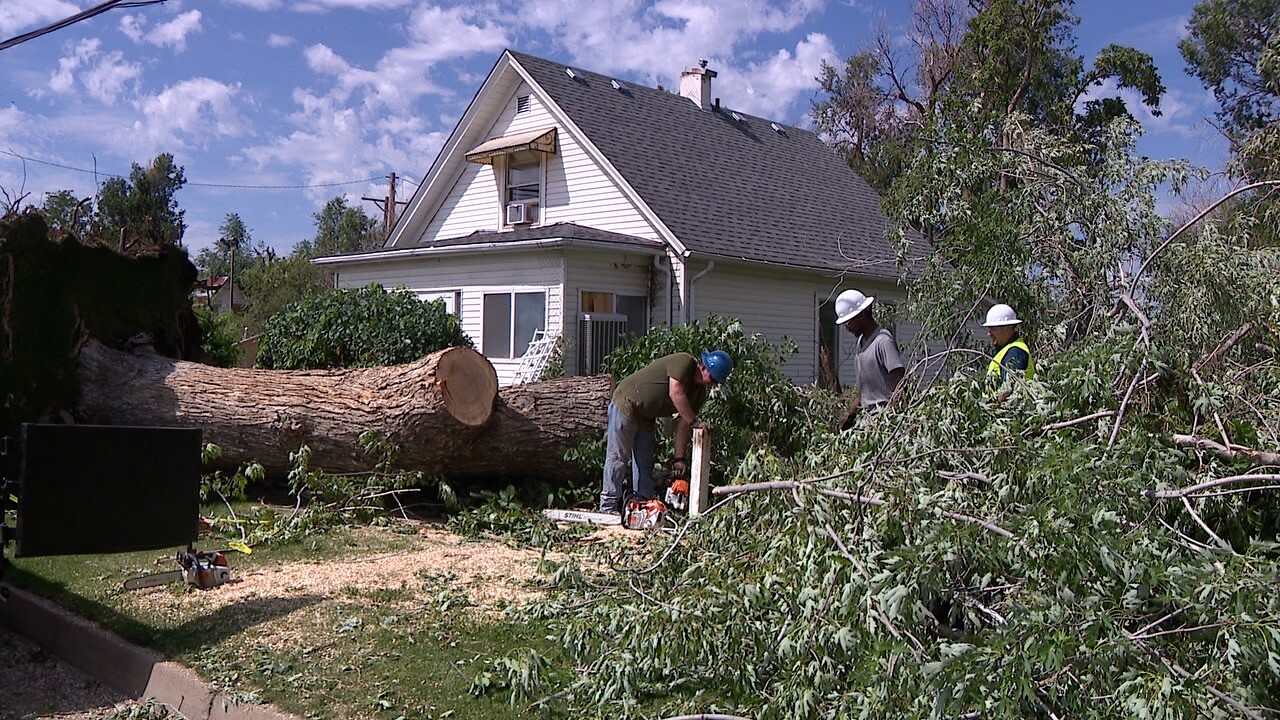 Brighton residents cleaning up fallen trees, debris following Saturday storm