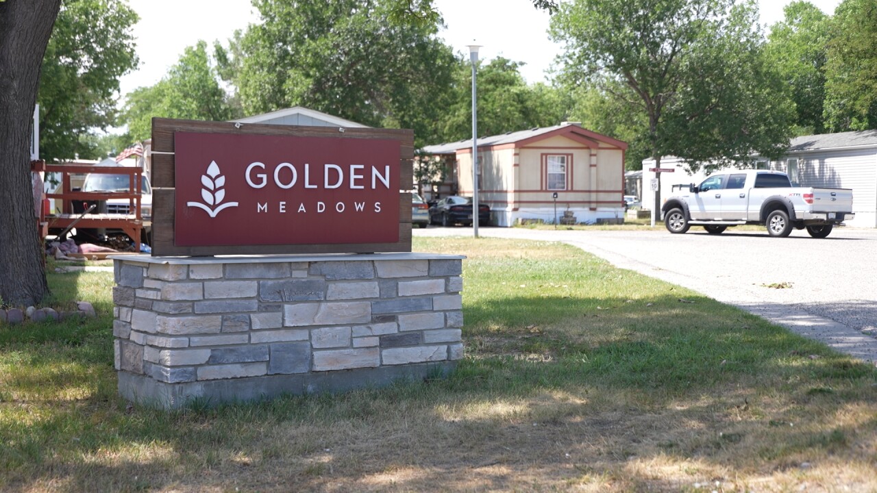 goldenmeadows6_2.22.1.jpg