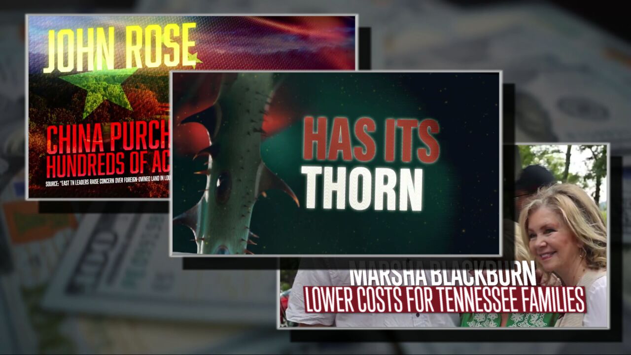 Gov Political Ads (1).jpeg