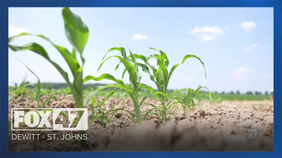 Drought and farms thumbnail