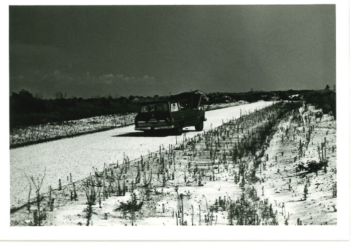 Lehigh Acres, where Mary Hare was found