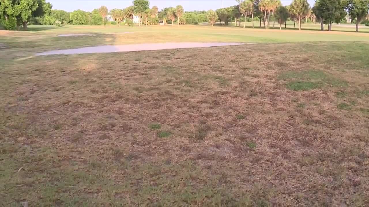 City wants to sell some of Delray Beach Golf Club land