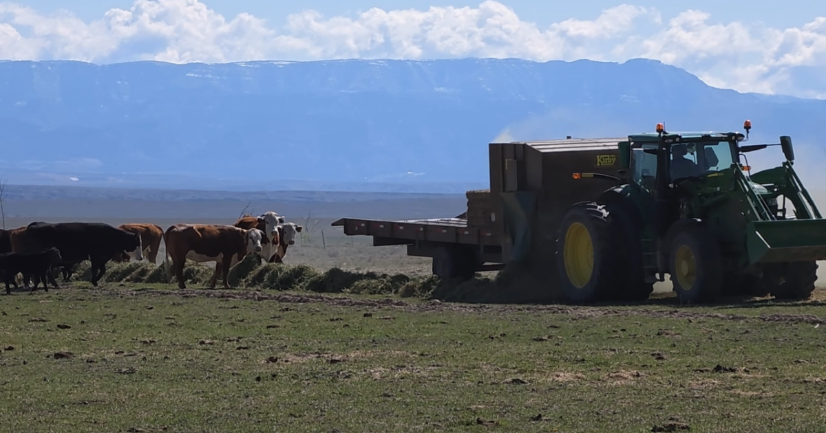 Emery ranchers, residents scramble to save livestock, crops after water cuts