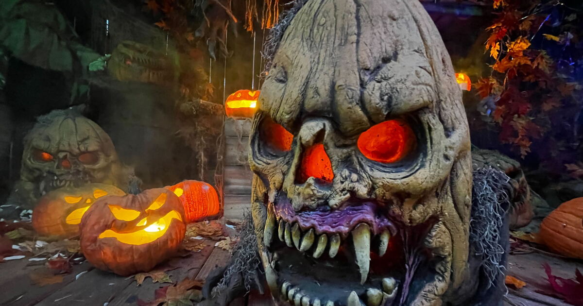 Wicked World Scaregrounds welcomes all for a night of fright - Vimarsana News