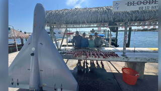 Hot Spots Charters displays an unarmed aerial drone caught during a fishing trip off the Florida panhandle on September 19.