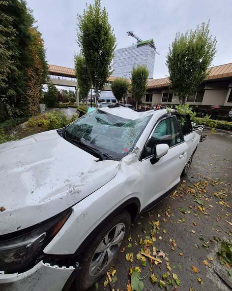 CDA car falls off parking garage