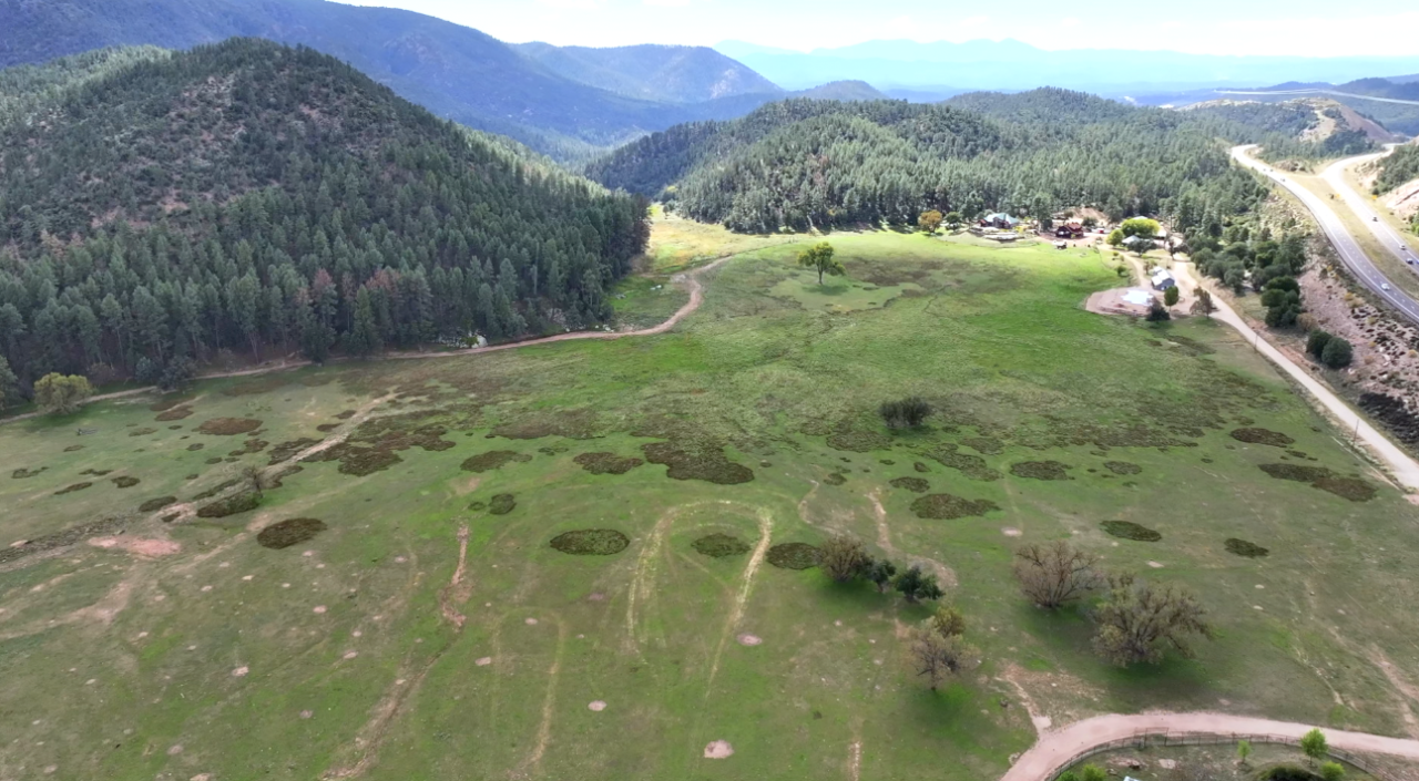 meadow