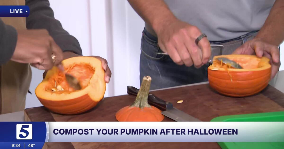 What should you do with your Halloween pumpkin? Try composting it