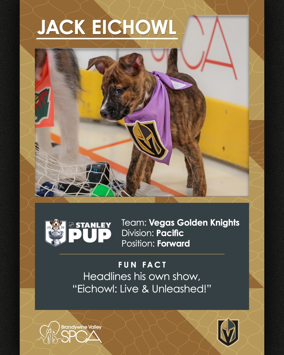 Jack Eichowl representing Vegas Golden Knights in 2026 Stanley Pup