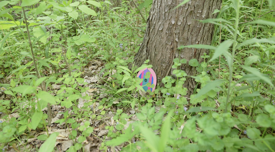 Fairy doors