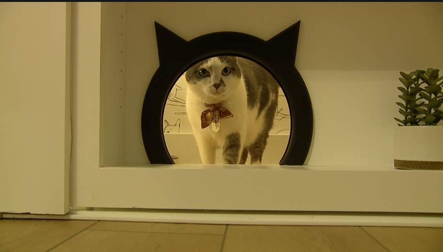 Screen Shot 2022-06-16 at 4.15.10 PM.png