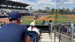 rays1.jpg