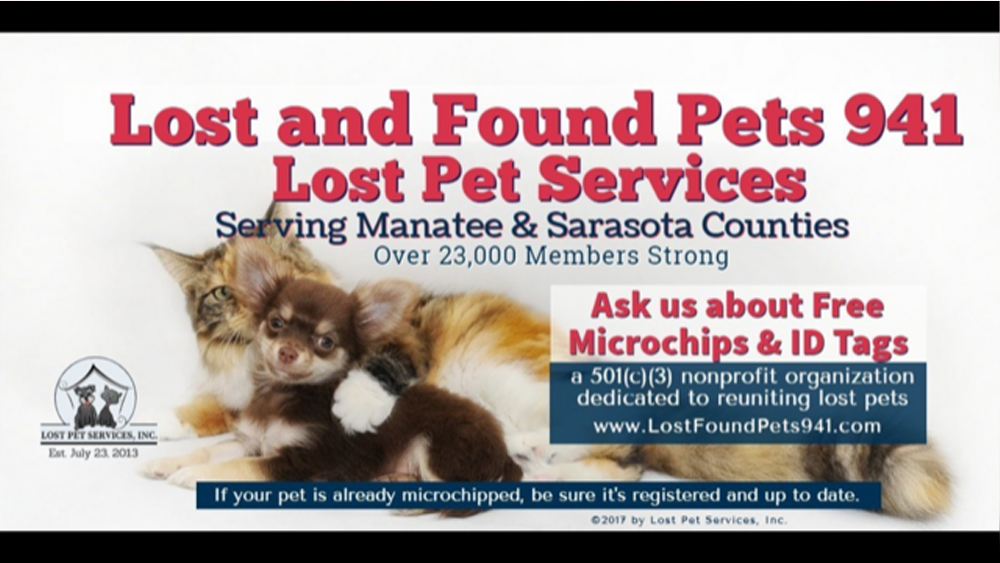 lost-pets-941.png