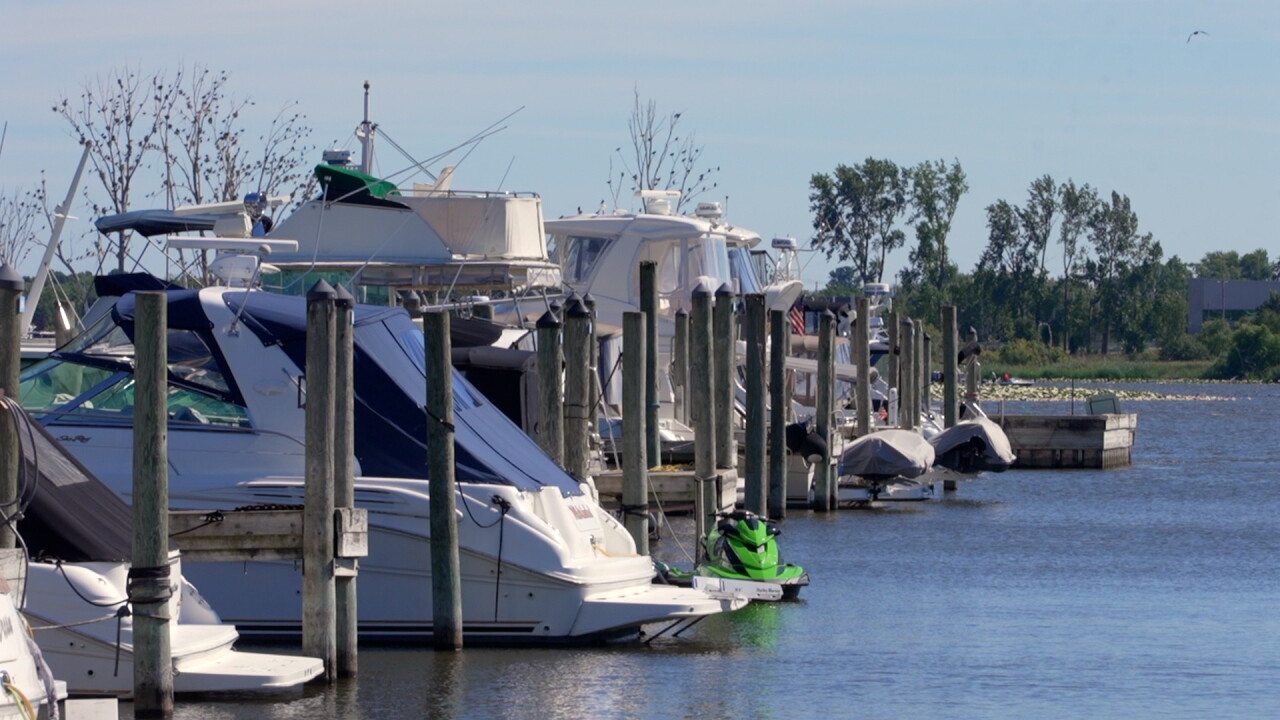 VILLAGE COVE MARINA BOATS.jpg