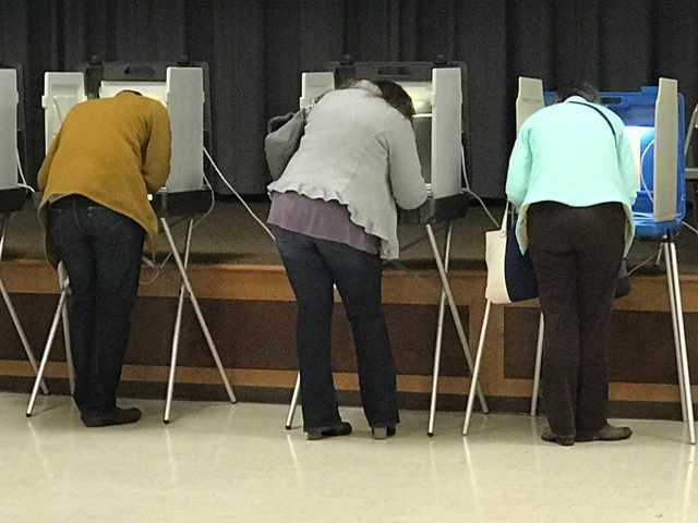 People voting in booths