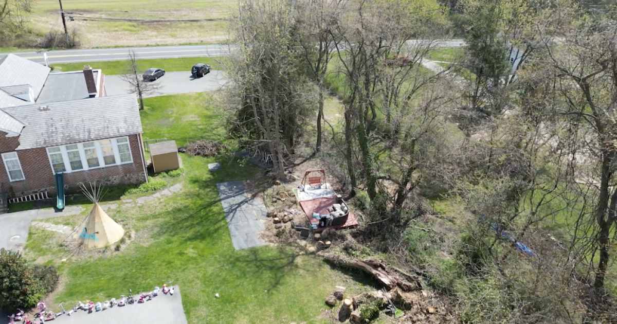 Mystery and bureaucracy preventing daycare owner from removing hazardous trees Mystery and bureaucracy preventing daycare owner from removing hazardous trees
