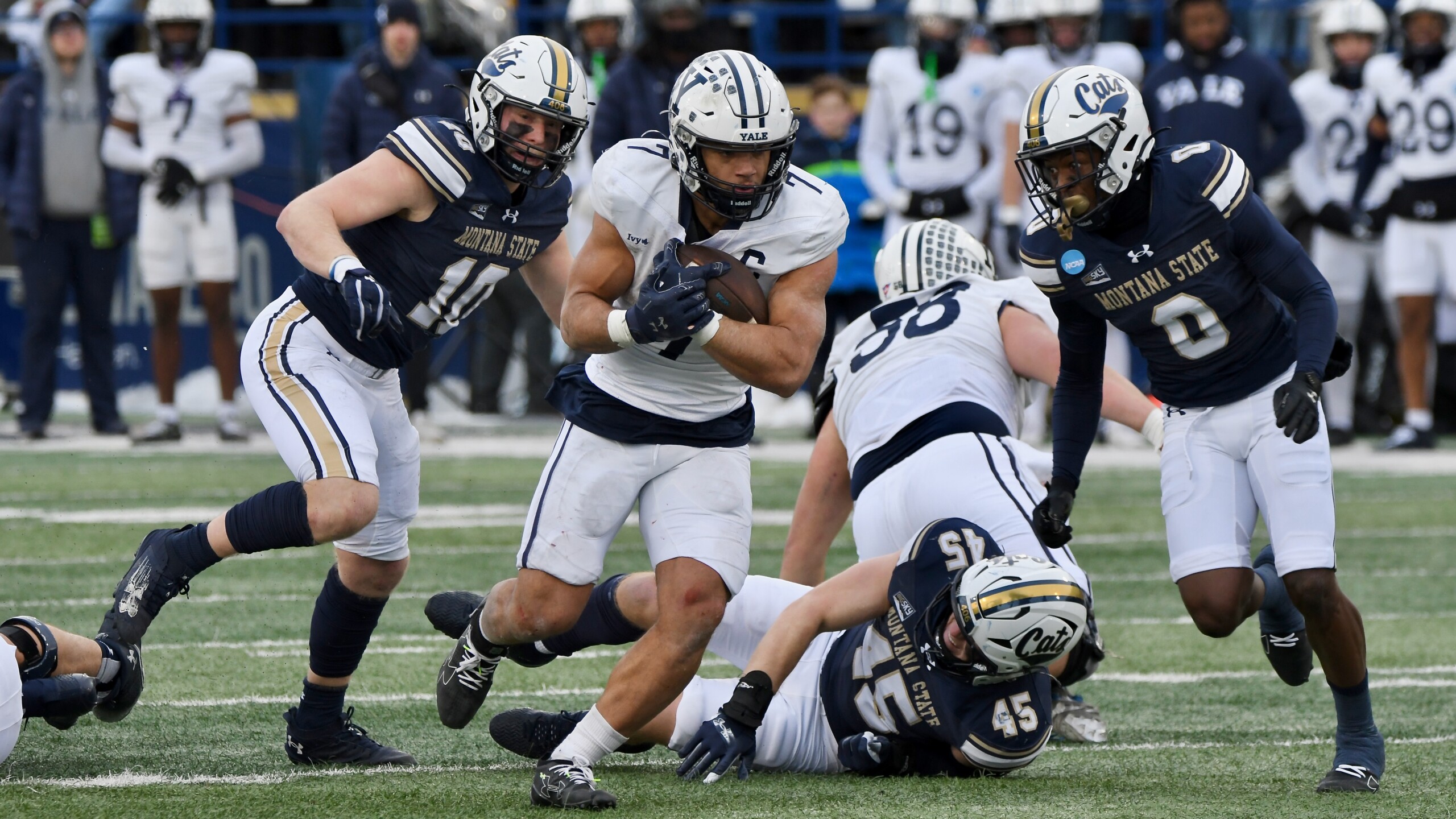 Montana State vs. Yale