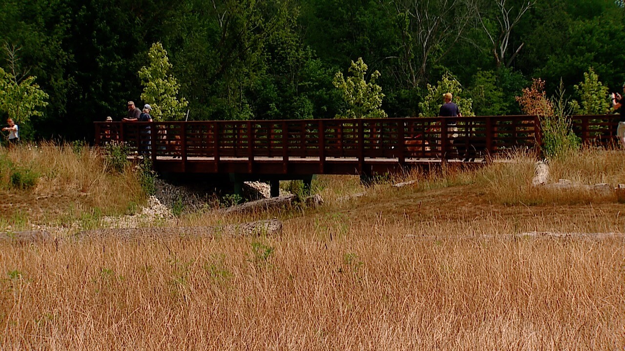 bridge.jpg