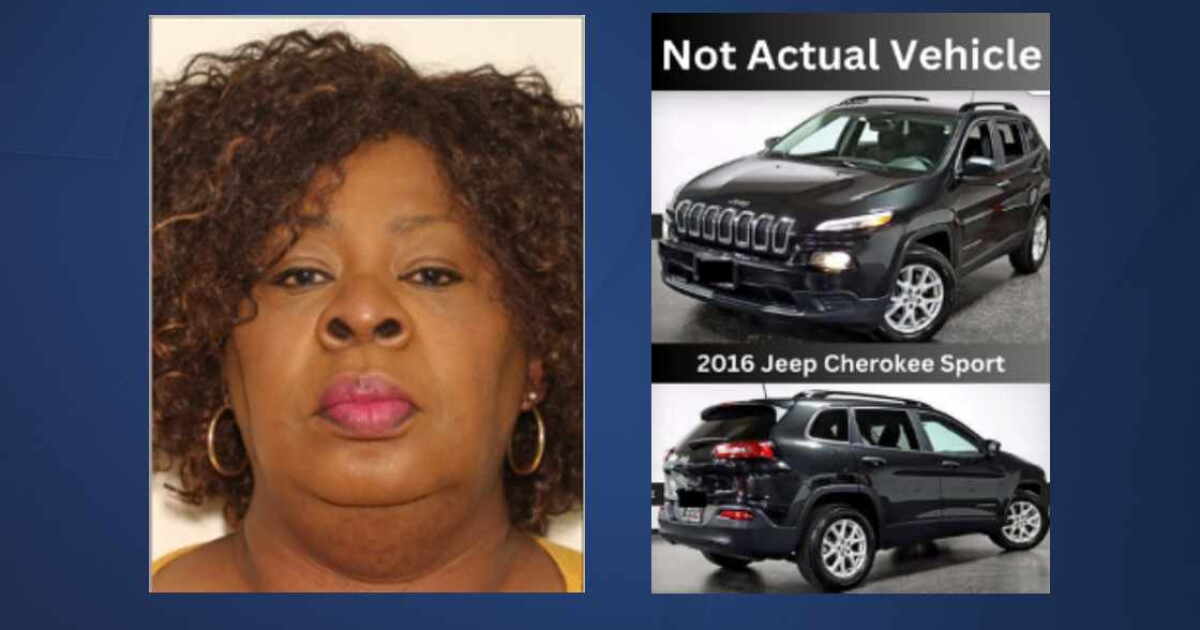 SPREAD THE WORD: Cairo Police searching for missing woman; here's how to help - Vimarsana News