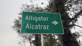 Alligator Alcatraz sign 