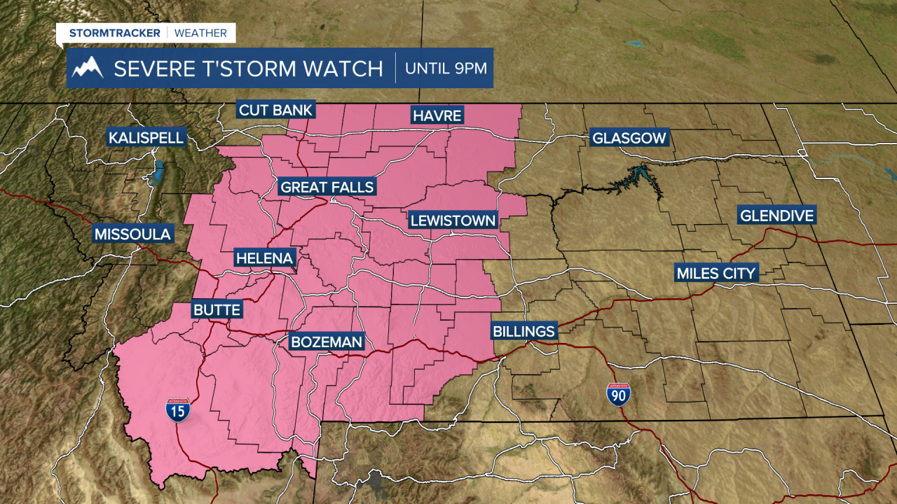 Severe Thunderstorm Watch