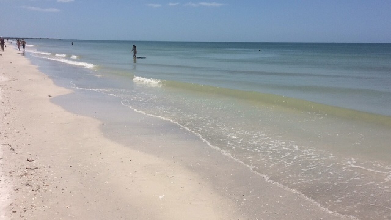 New gates installed near Ben T. Davis beach