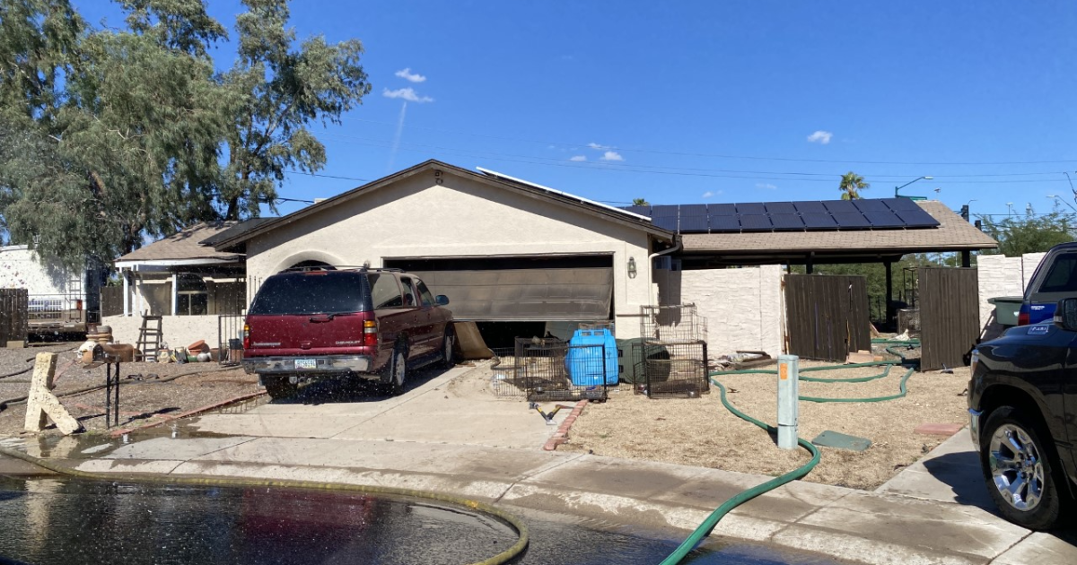 Woman dies, over 20 dogs found inside house after fire