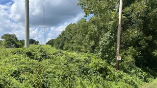 IMG_3286.jpg