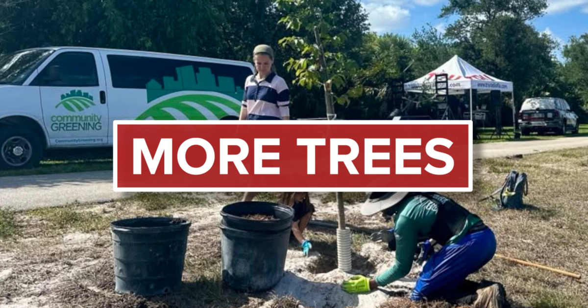 Palm Beach County cities push for more trees and shade as extreme heat bakes neighborhoods