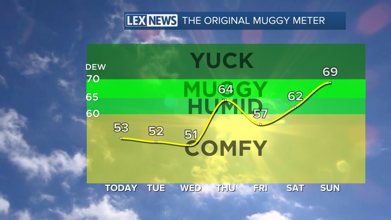 TG MUGGY.jpg
