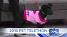 2019 Pet Telethon with the Humane Society of Greater KC