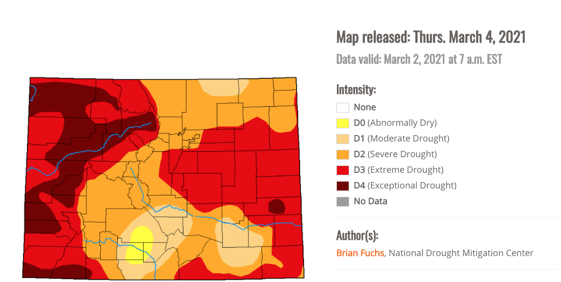 Screen Shot 2021-03-10 at 11.11.22 AM.png