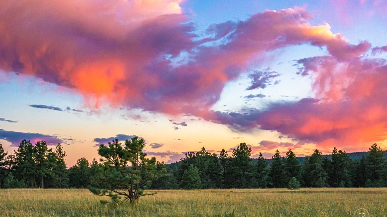 June Blooms Photography Florissant sunset